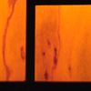cherry windows