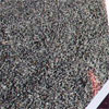 click here to visit point rays