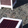 click here to visit point rays