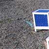 click here to visit point rays